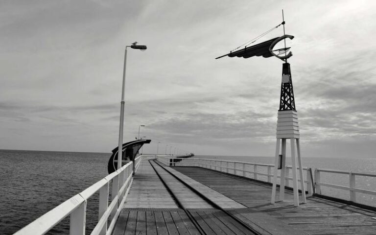 Bien Choisir ses Outils de Jardin : Le Guide du Débutant